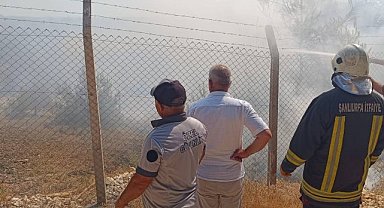 Bozova’da ağaçlık alanda yangın