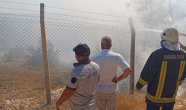 Bozova’da ağaçlık alanda yangın