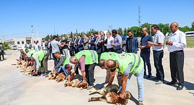 Şanlıurfaspor ilk ziyaretini Harran'a yaptı!